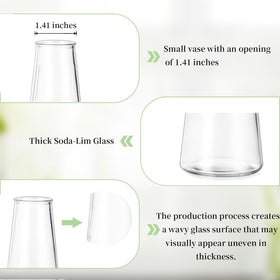 Glasseam set of 12 vases designed for easy cleaning and decorative stacking.