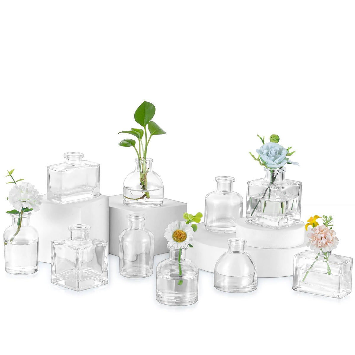 Glasseam mini glass bud vases set of 10 offer elegant centerpieces for weddings