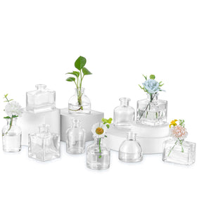 Glasseam mini glass bud vases set of 10 offer elegant centerpieces for weddings