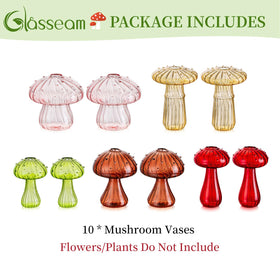 Glasseam mushroom propagation vase doubles as a compact terrarium or diffuser bottle