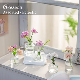 Glasseam plant-propagation vase mini clear supports green growth