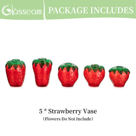 Glasseam strawberry propagation vase gift set ideal for plant lovers.