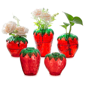 Glasseam strawberry propagation vase handmade glass craftsmanship adds elegance.