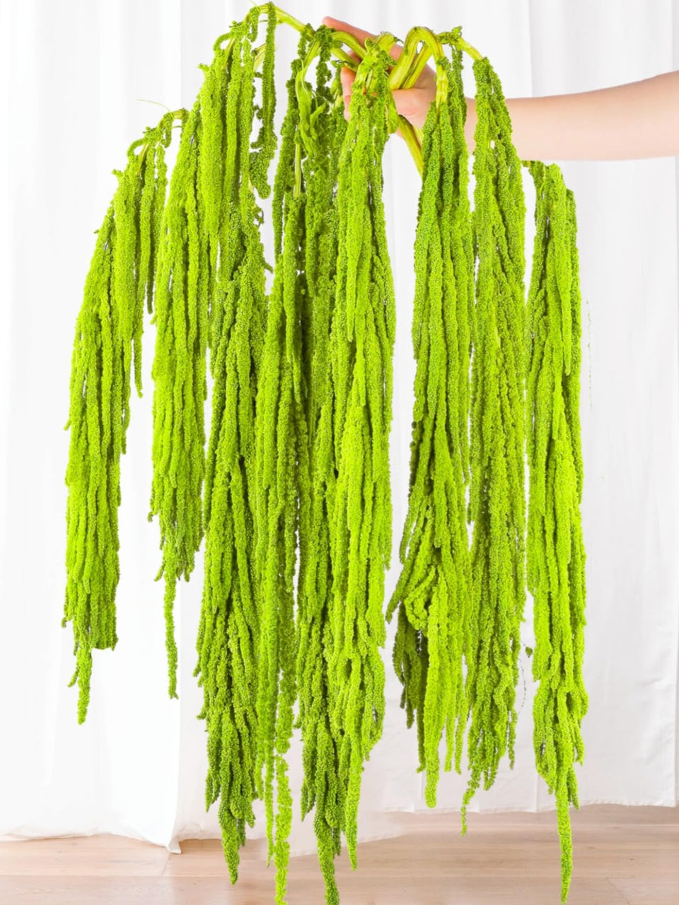 Glicrili Amaranthus emerald green cascade for arch decor and table displays.