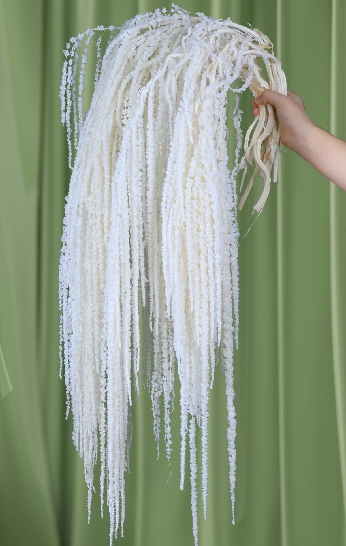 Glicrili bleached white amaranthus hanging flowers in 23-inch length for elegant wedding décor.