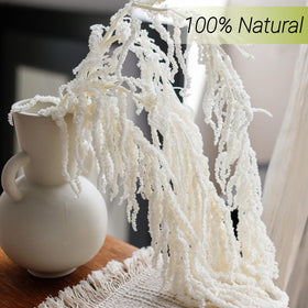 Glicrili bleached white amaranthus hanging stems add natural charm to home and events.