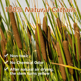 Glicrili cattails stems with rugged texture ideal for farmhouse styling.