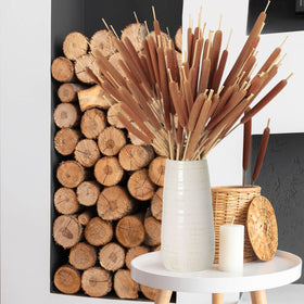 Glicrili eco friendly dried cattails gift set suitable for stylish gift ideas.