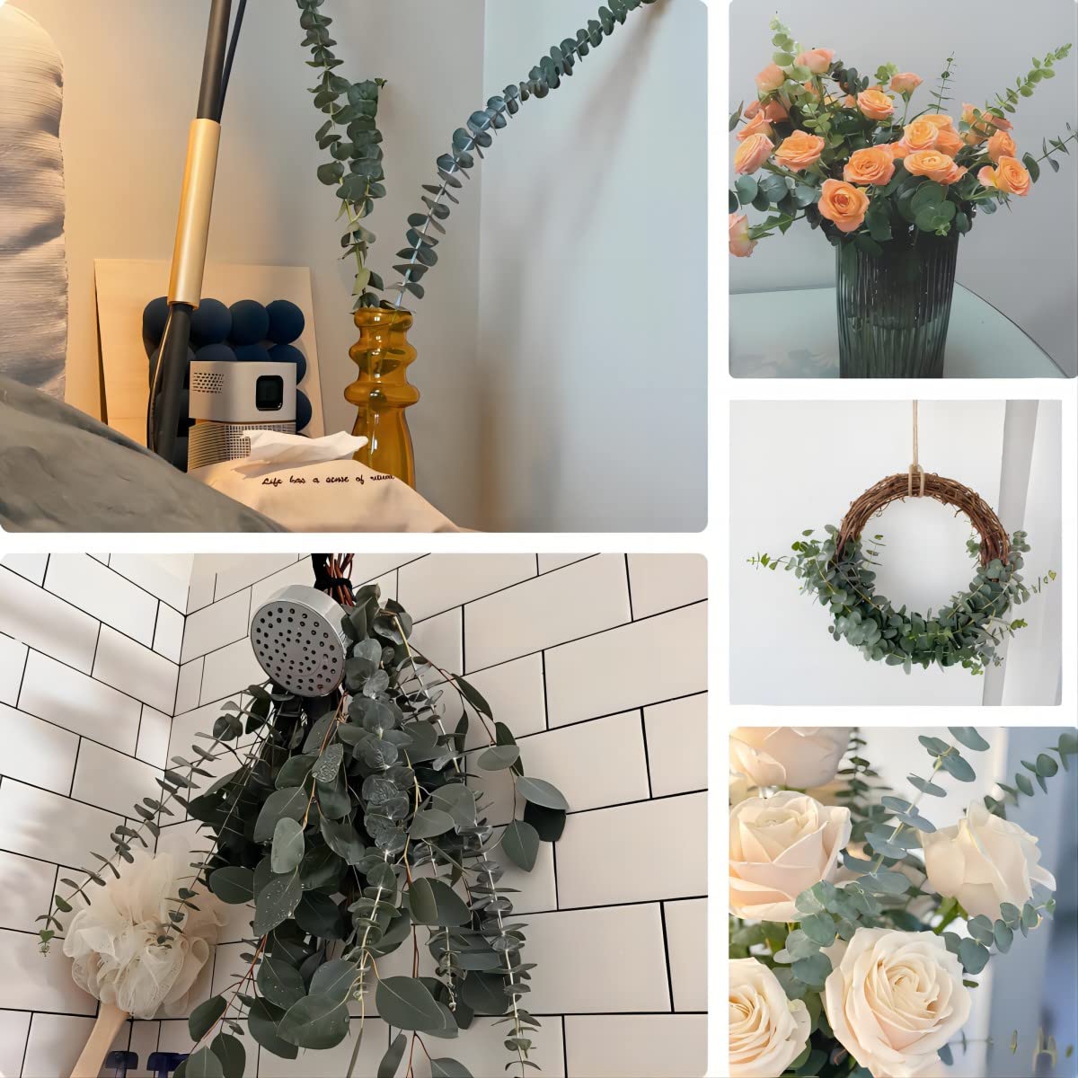 Glicrili eucalyptus gift idea offers thoughtful greenery for loved ones.