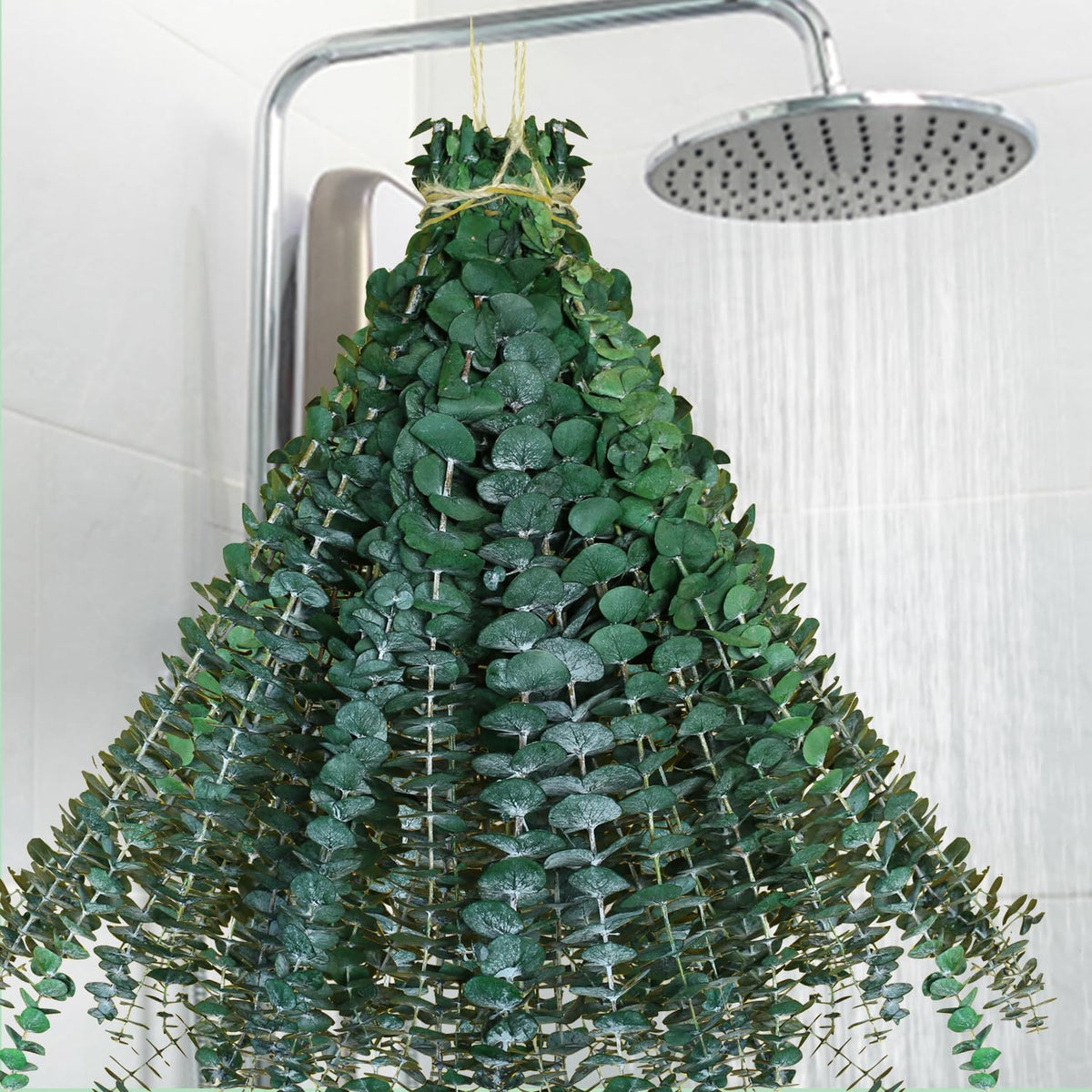 Glicrili eucalyptus shower bundle with 40 preserved stems ready for spa-like décor.