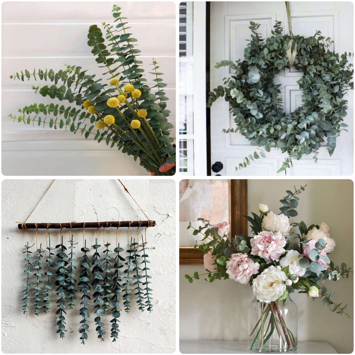 Glicrili eucalyptus wedding decoration for a natural ceremony backdrop.