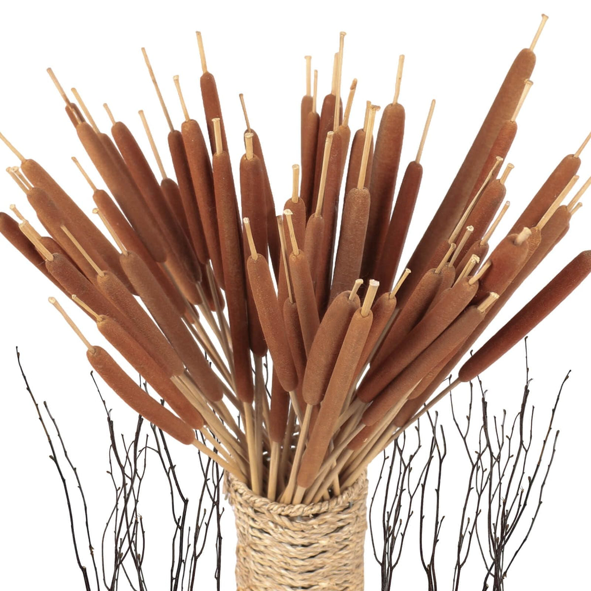 Glicrili large natural brown cattails bundle 16-17 inches long for tall vases.
