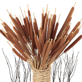 Glicrili large natural brown cattails bundle 16-17 inches long for tall vases.