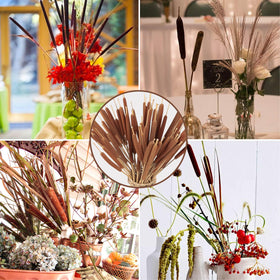 Glicrili long sturdy cattail stems provide durable dried arrangements.