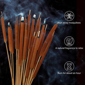 Glicrili natural cattails bulk pack enhances cafe and home decor.