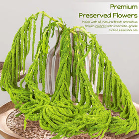 Glicrili neon green amaranthus waterfall on arches enhances wedding backdrops