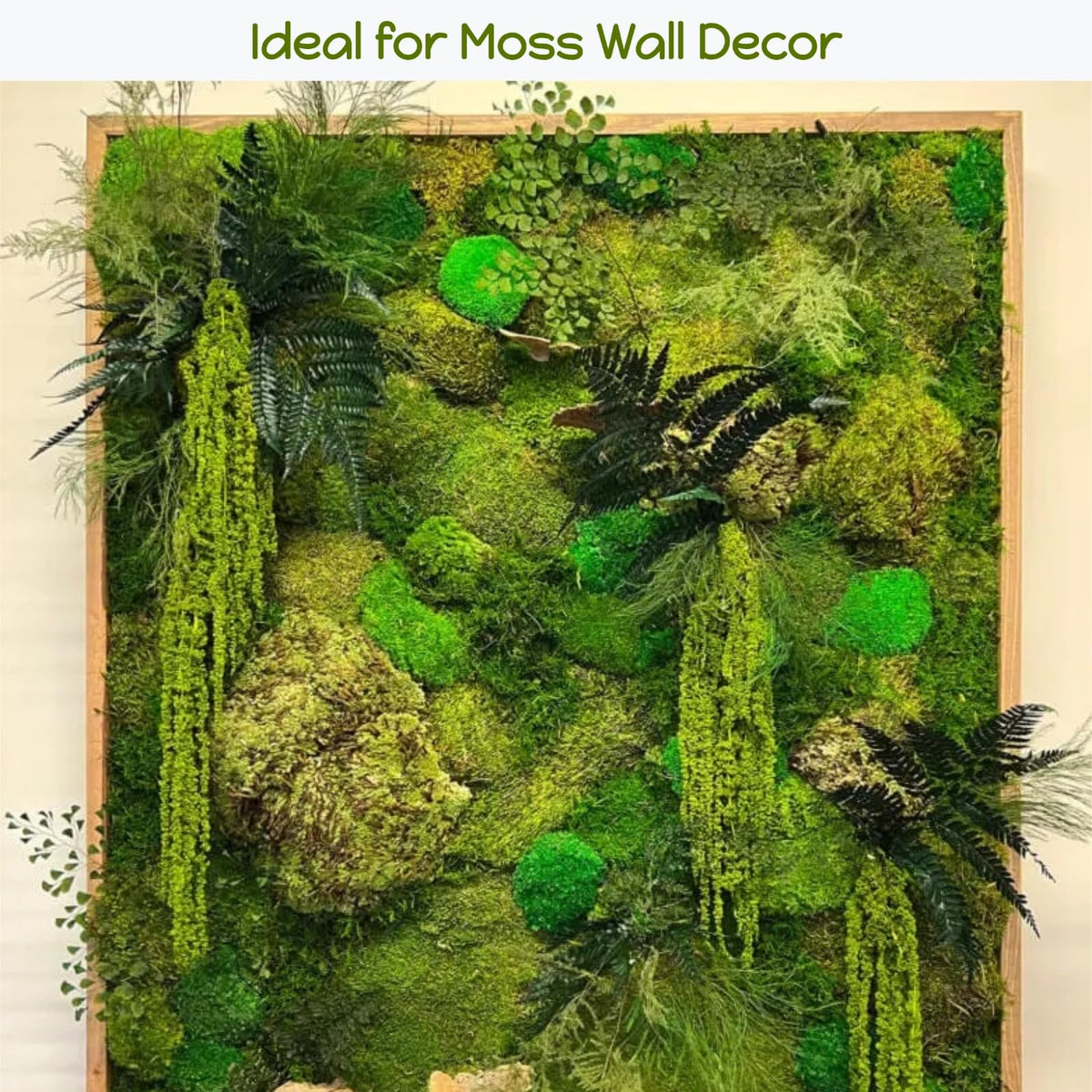 Glicrili neon green amaranthus textures for vibrant lasting installations