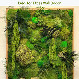 Glicrili neon green amaranthus textures for vibrant lasting installations