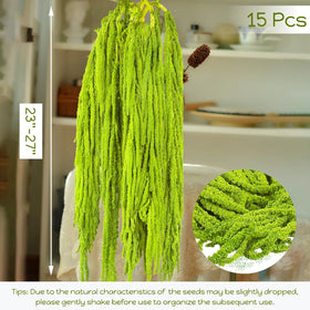 Glicrili preserved amaranthus draped tassels add natural texture to decor