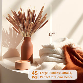 Glicrili cattails top brown cap detail enhances wedding and event arrangements.