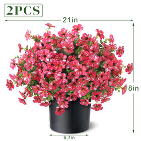 GLIDLION two 18-inch by 21-inch topiaries ready for immediate garden display.