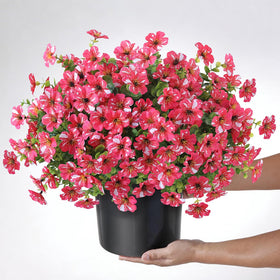 GLIDLION weather-resistant decor maintains color and form in all seasons.