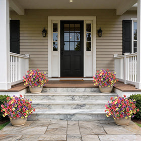 GLIDLION morning-glory topiary on balcony, compact height and lush leaves.