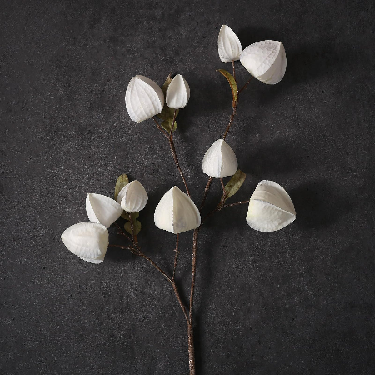 GLIDLION cape gooseberry stem, cream, perfect for DIY floral arrangements and weddings.