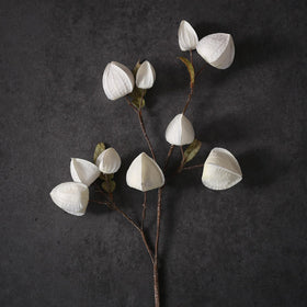 GLIDLION cape gooseberry stem, cream, perfect for DIY floral arrangements and weddings.