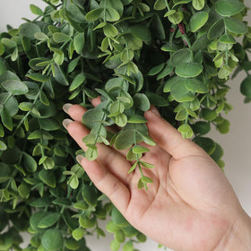 Eucalyptus wreath on window or terrace display by GLIDLION