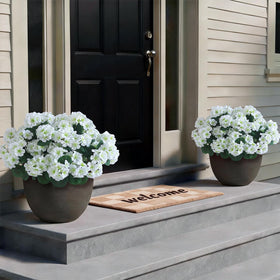 GLIDLION vibrant white geraniums brighten doorways with farmhouse appeal.