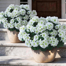 GLIDLION geranium full bouquet close-up showcasing lifelike petals for porch decor.
