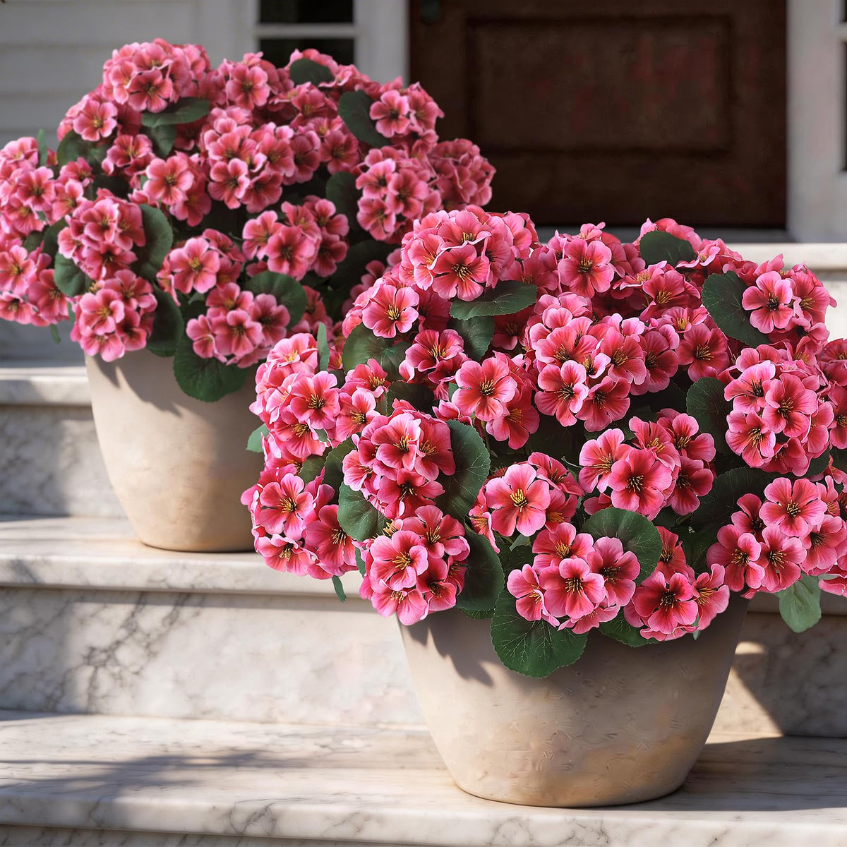 GLIDLION geranium peach pink bloom enhances spring ambiance on balconies.