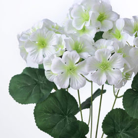 GLIDLION low-maintenance blooms require minimal upkeep beyond occasional dusting.