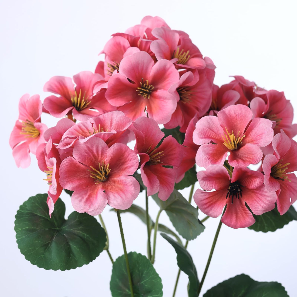 GLIDLION geranium porch garden setting adds color without maintenance.
