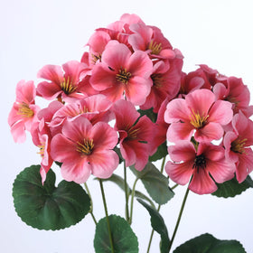 GLIDLION geranium porch garden setting adds color without maintenance.