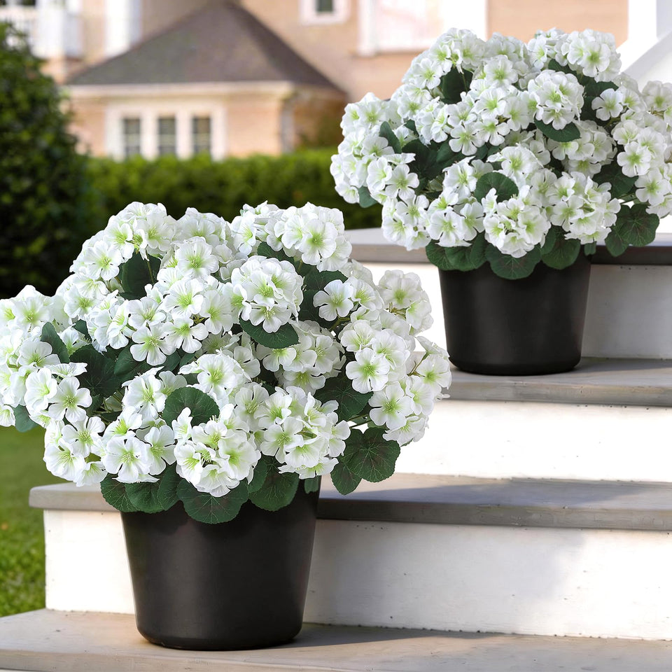 GLIDLION geranium topiary two-pack for outdoor entry decor, stable and low-maintenance.
