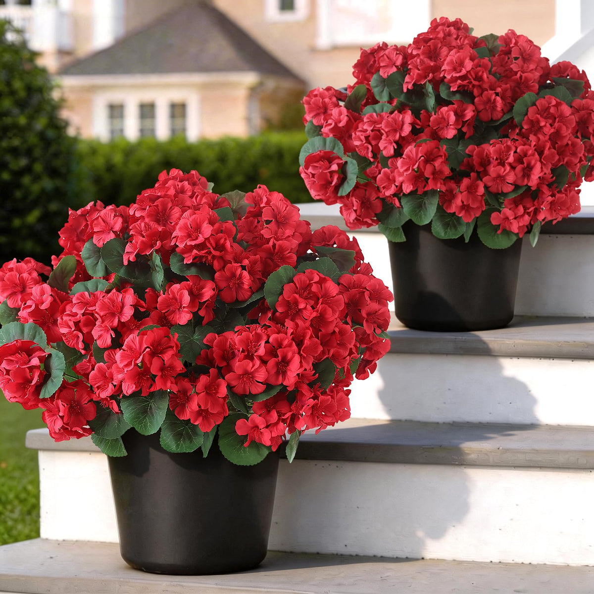 GLIDLION geranium topiary 2-pack for outdoors adds vibrant, maintenance-free color.