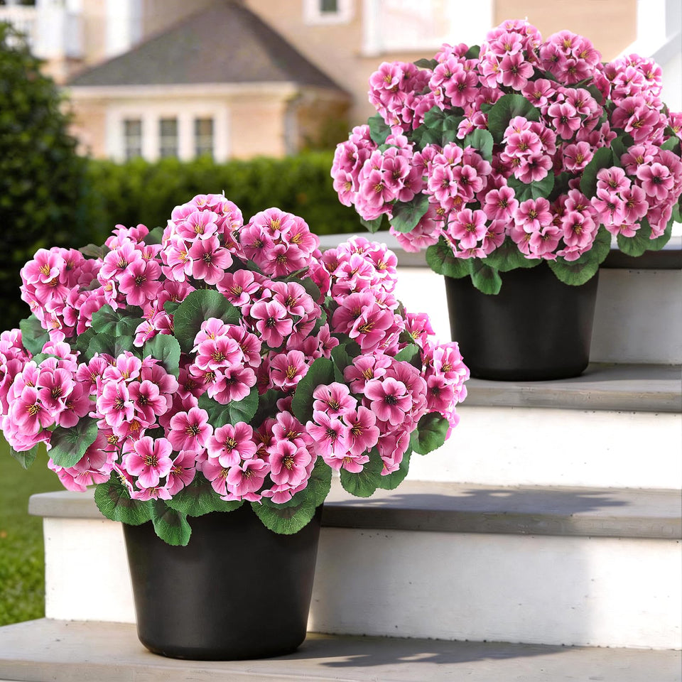 GLIDLION geranium topiary pink 2-pack outdoors adds vibrant color to your entry
