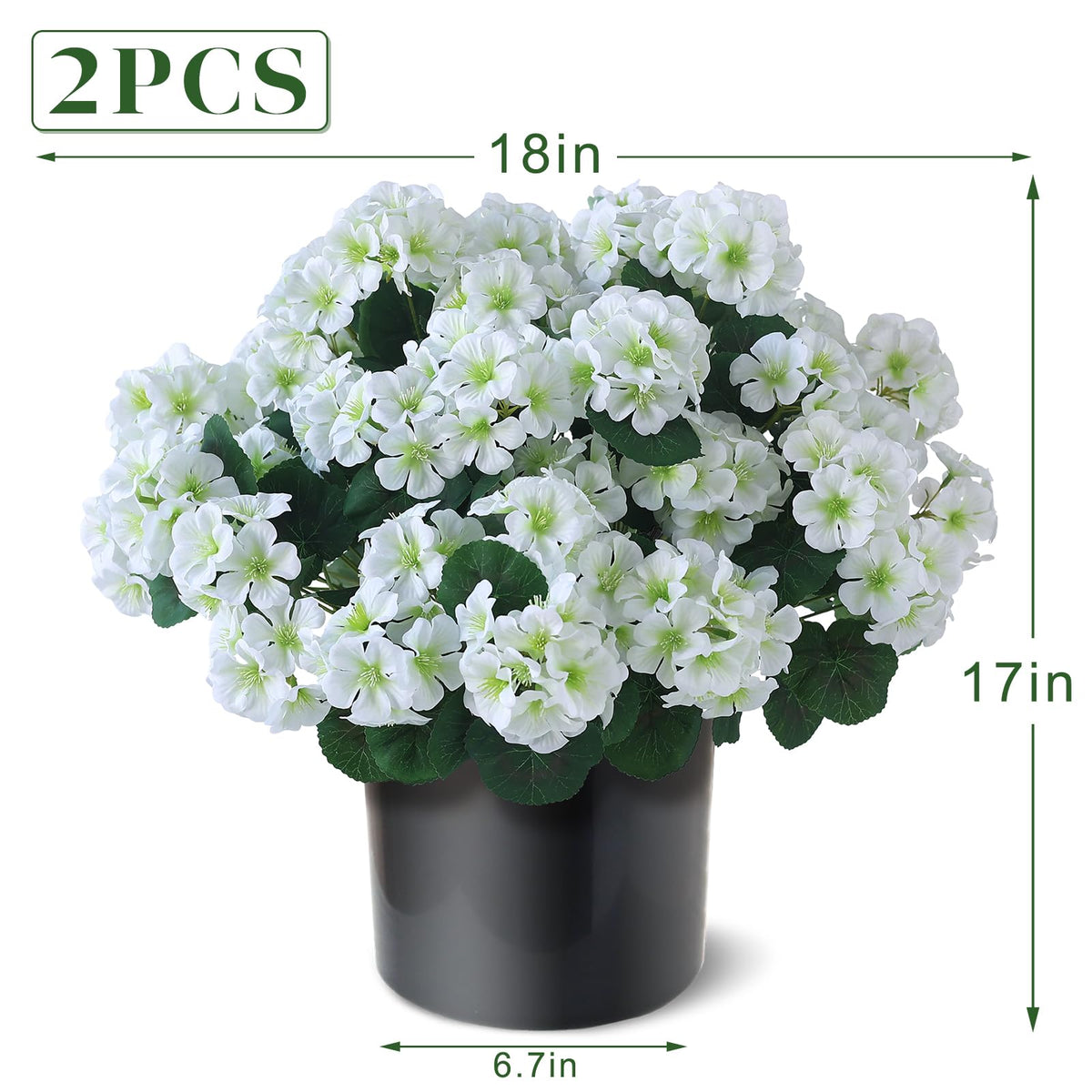GLIDLION geranium topiary white blooms in clusters for porch or garden styling.