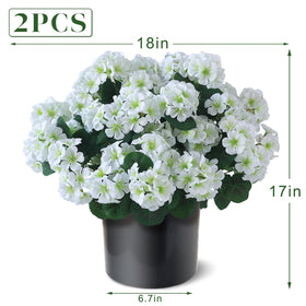 GLIDLION geranium topiary white blooms in clusters for porch or garden styling.