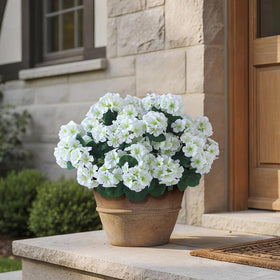 GLIDLION 12-bundle set offers versatile decor for entryways and patios.