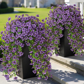 GLIDLION Morning Glory Starry Sky bundle 1 adds vibrant color to outdoor porch.