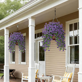 GLIDLION outdoor arrangement showcases starry sky blooms on a hanging basket.