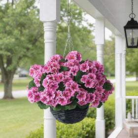 GLIDLION outdoor porch decor with hanging geranium baskets.