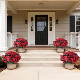 GLIDLION red geraniums bring bold color to entryways and seasonal arrangements.