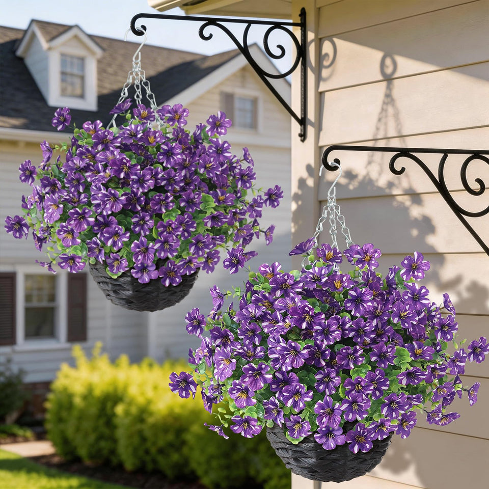 GLIDLION starry-sky morning glory basket enhances curb appeal with vibrant color.