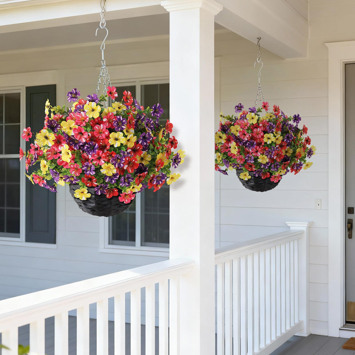 GLIDLION starry-sky morning glory close-up in mixed colors for vibrant outdoor accents.