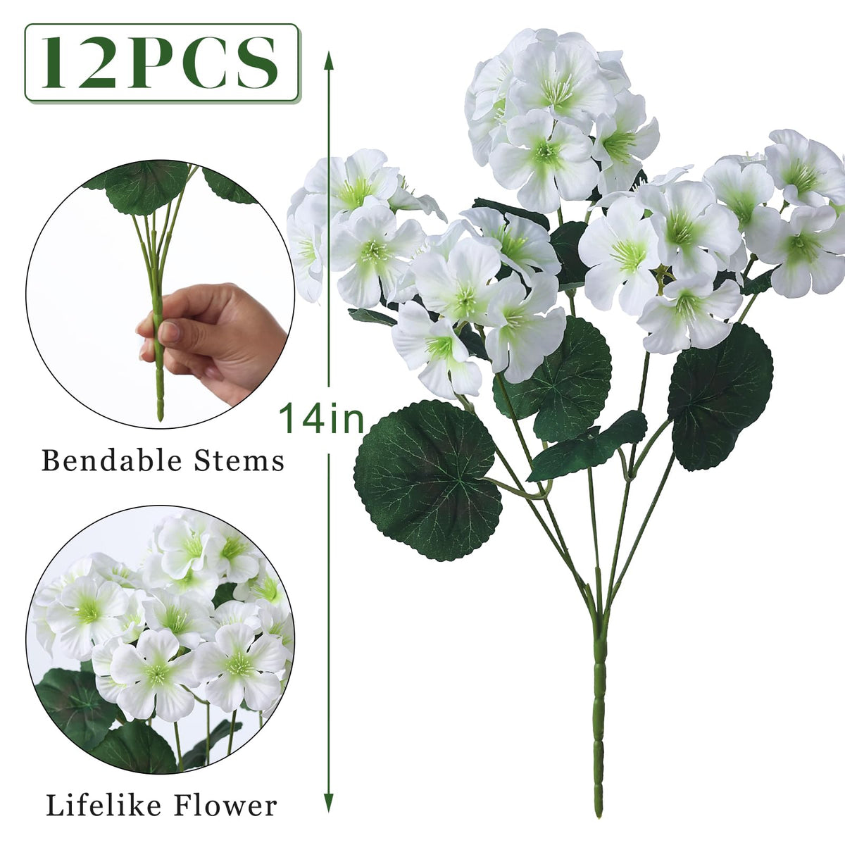 GLIDLION UV-resistant geraniums built for enduring outdoor color.