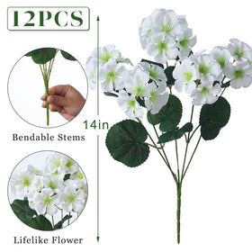 GLIDLION UV-resistant geraniums built for enduring outdoor color.